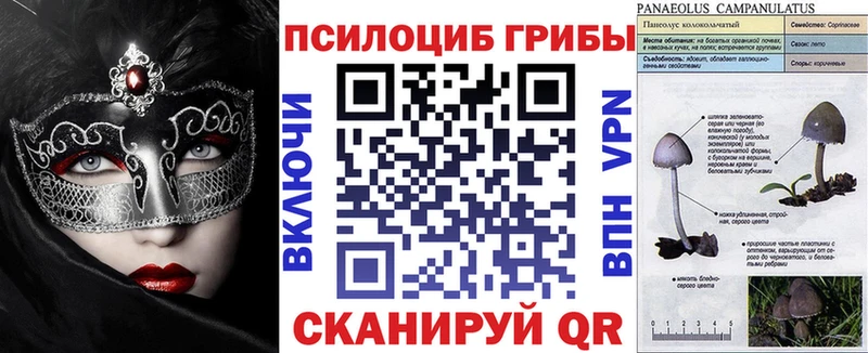 хочу наркоту  ссылка на мегу   Псилоцибиновые грибы Psilocybe  Суоярви 